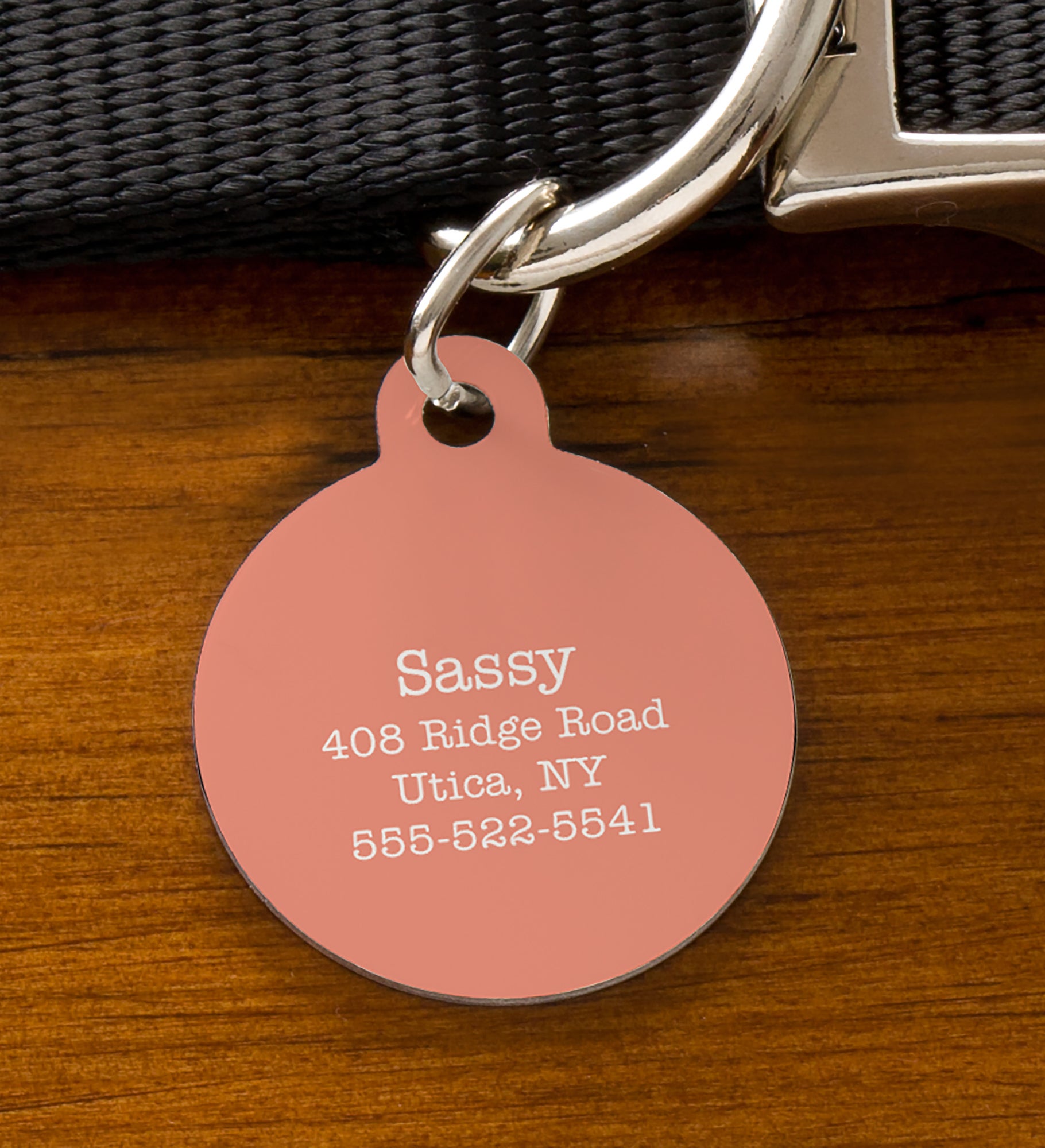 Pet Expressions Personalized Dog ID Tags 